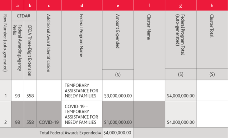 Presentation Of COVID-19 Related Federal Programs On The Schedule Of ...